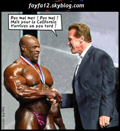 � merci � par torres-joe